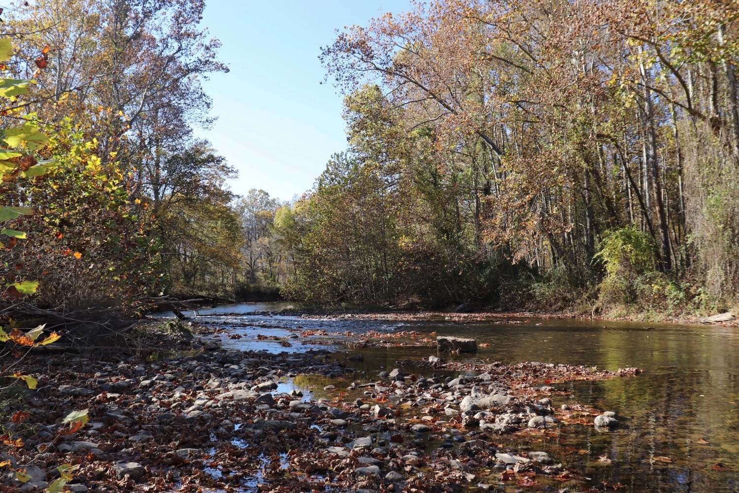 The Preserve - hiking